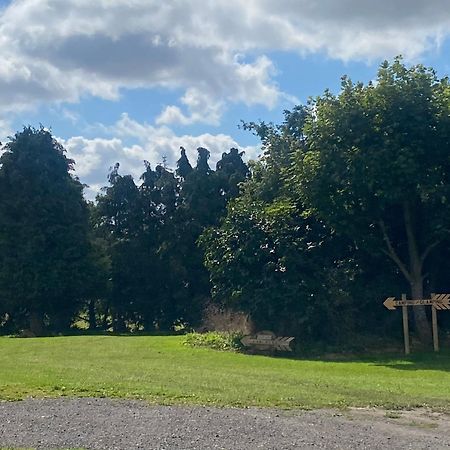 Roe Deer Meadow At Carr House Farm 호텔 스카버러 외부 사진