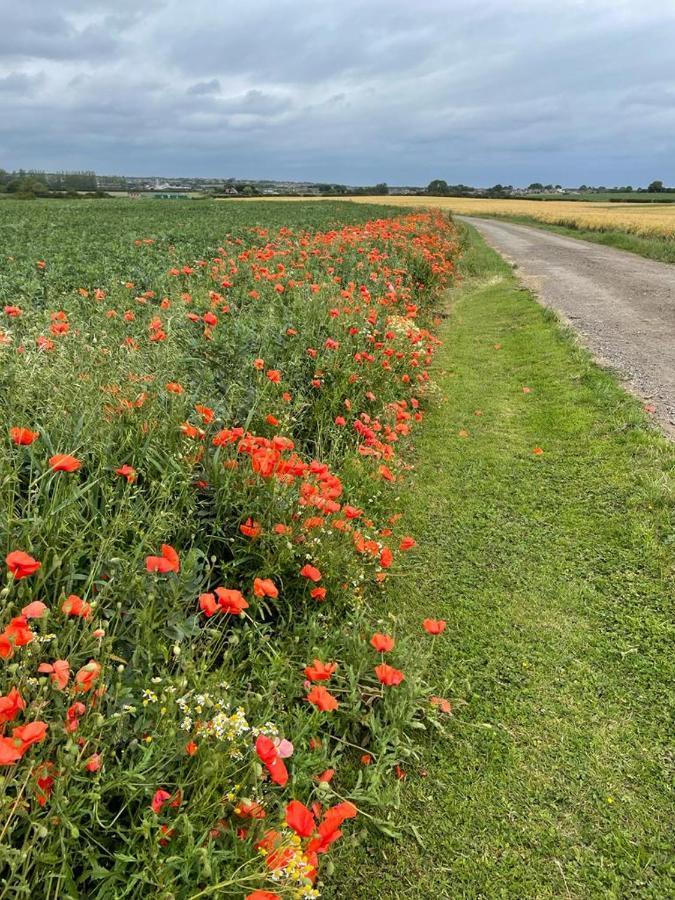 Roe Deer Meadow At Carr House Farm 호텔 스카버러 외부 사진