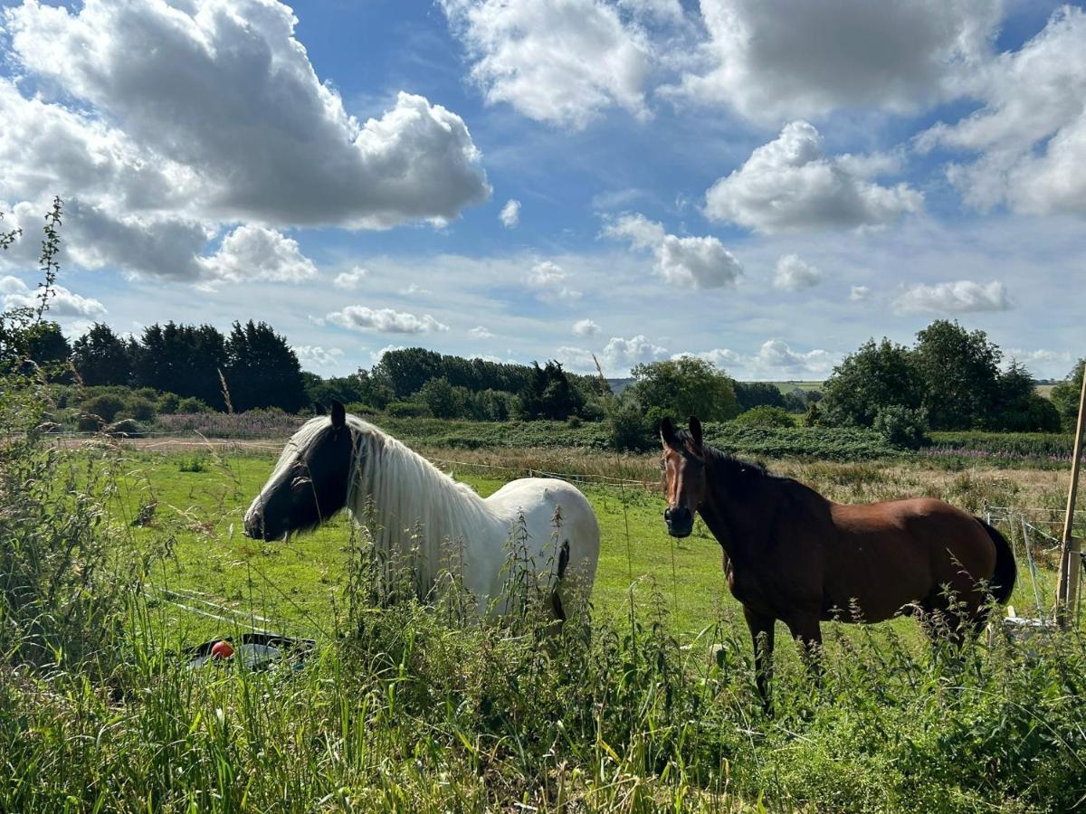 Roe Deer Meadow At Carr House Farm 호텔 스카버러 외부 사진